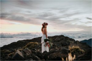 Haleakala-elopmentphotography